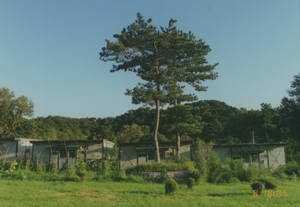 紅螺寺旅遊度假區