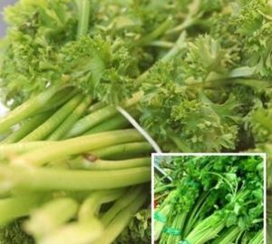 芹菜美容法