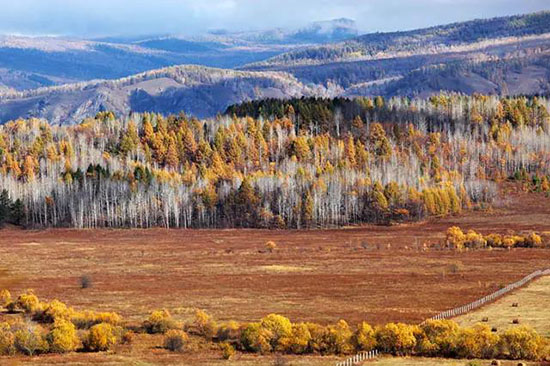中俄邊境私藏了個世外桃源,美若油畫卻即將消失,此生不去心不安!