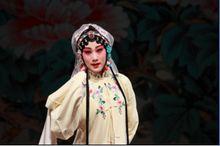 崑曲《牡丹亭&middot;離魂》沈昳麗 飾 杜麗娘