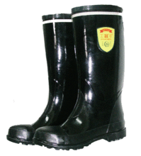 Wellington 靴