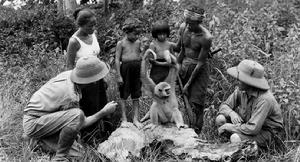 大象：荒野傳說