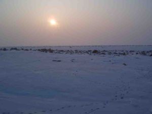 卡拉麥里自然保護區 卡拉麥里自然保護區