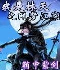 我是林天之網夢江湖 我是林天之網夢江湖