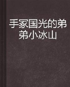 手冢國光的弟弟小冰山 手冢國光的弟弟小冰山