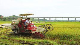 飛仙橋鄉 飛仙橋鄉
