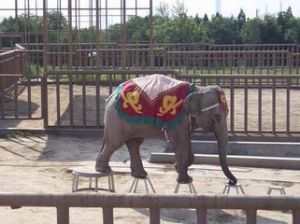 太原市臥虎山公園