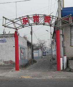 東青善村 東青善村