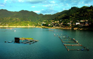 東江水庫 東江水庫