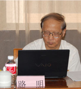 路明[民建中央副主席]