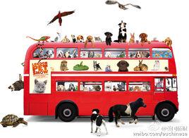 倫敦寵物秀 倫敦寵物秀