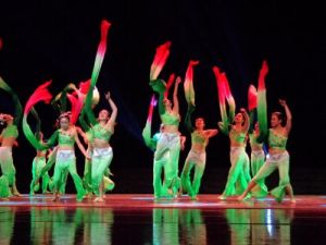 舞蹈專業 舞蹈專業