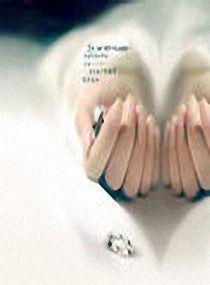 夢裡的童話 夢裡的童話