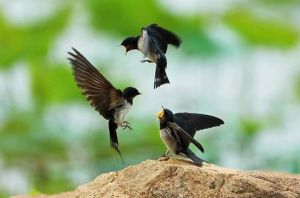 街頭哲學 街頭哲學