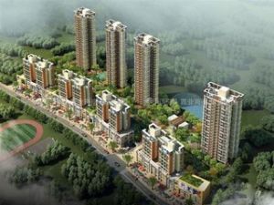 紫荊花園 紫荊花園