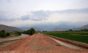 爛包坪組 爛包坪組