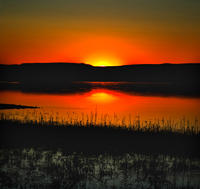 額爾古訥河 額爾古訥河