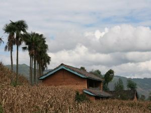 大阿朵村 大阿朵村