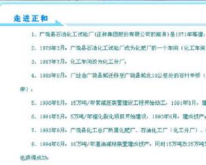 正和集團股份有限公司