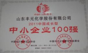 山東豐元化學股份有限公司