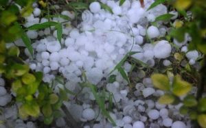 冰雹預警信號 冰雹預警信號