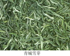 青城雪芽