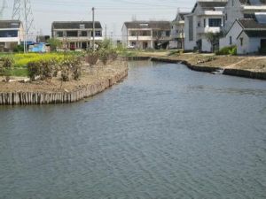 趙莊自然村 趙莊自然村