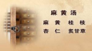 麻黃桂枝升麻湯