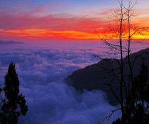 阿里山國家風景區