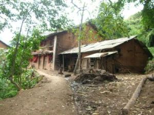 代家梁子村 代家梁子村