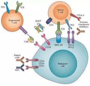 特異性配體 特異性配體