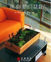 迷你組合盆栽 迷你組合盆栽