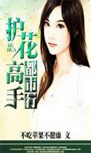 護花高手都市行 護花高手都市行