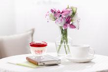 小仙燉鮮燉燕窩