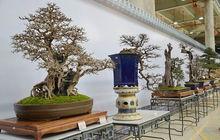 斗南&middot;花花世界