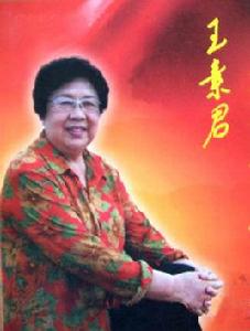 王派[豫劇小生流派]