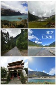 林芝[江蘇啟東籍烈士]