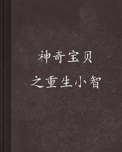 神奇寶貝之重生小智 神奇寶貝之重生小智