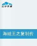 海賊王之複製傳奇 海賊王之複製傳奇