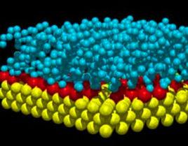 生物電子等排原理