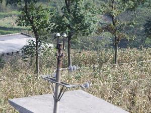 老包自然村[鎮雄縣塘房鎮下轄自然村]