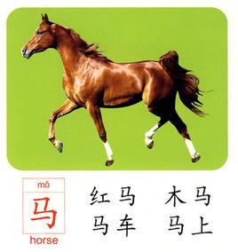 看圖識字卡 看圖識字卡