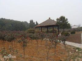 武漢九峰山森林公園 武漢九峰山森林公園