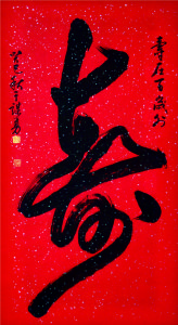 壽在百歲外壽字