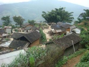 爬的倮村 爬的倮村