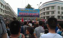 “游千年古鎮 賞萬畝荷花”荷花節啟動儀式