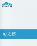 心之傷 心之傷