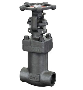 鍛鋼波紋管截止閥 鍛鋼波紋管截止閥