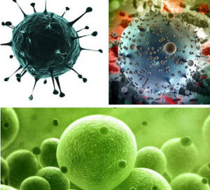 致癌作用 致癌作用