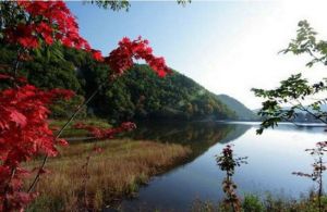 福滿生態溝景區 福滿生態溝景區